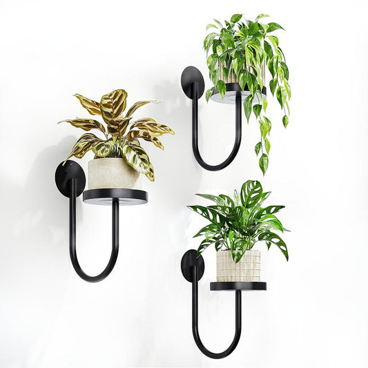 Bamworld 3Pcs Wall Plant Holder Wall Planters for Indoor Plants Plant Hanger Indoor Wall Planter Window Plant Shelves Hanging Plant Holder Window Plant Hanger Plant Decor Black Room Decor for Girls Flower Pots Garden Accessories